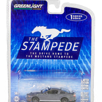 Greenlight 1/64 Mustang Stampede S1 2010 Shelby GT500 Sterling Grey Metallic 13340D