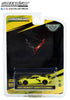 Greenlight 1/64 2022 Chevrolet Corvette C8 Coupe IMSA GTLM Champ Yellow 30321